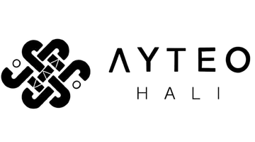 Ana Sayfa 17 ayteo-fromsite-logo